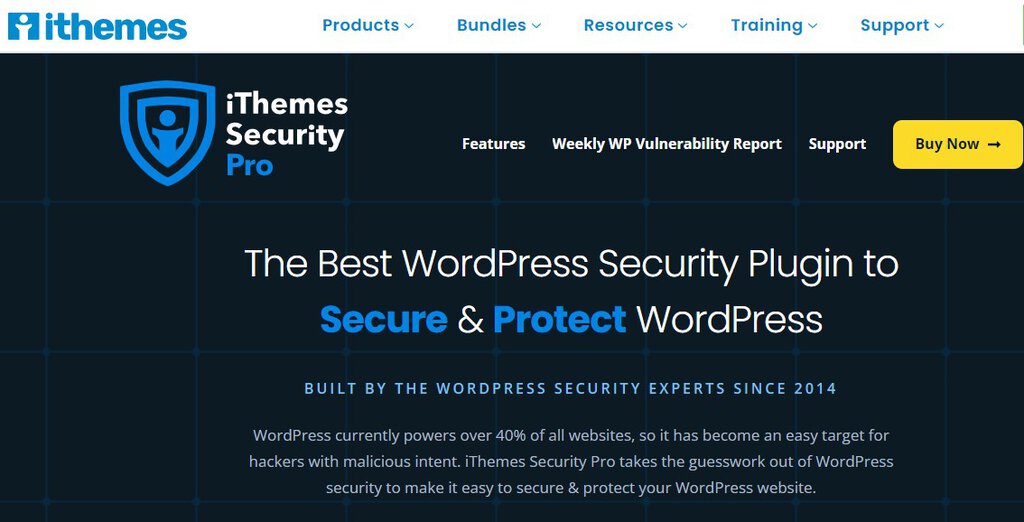 P&aacute;gina inicial do iThemes Security