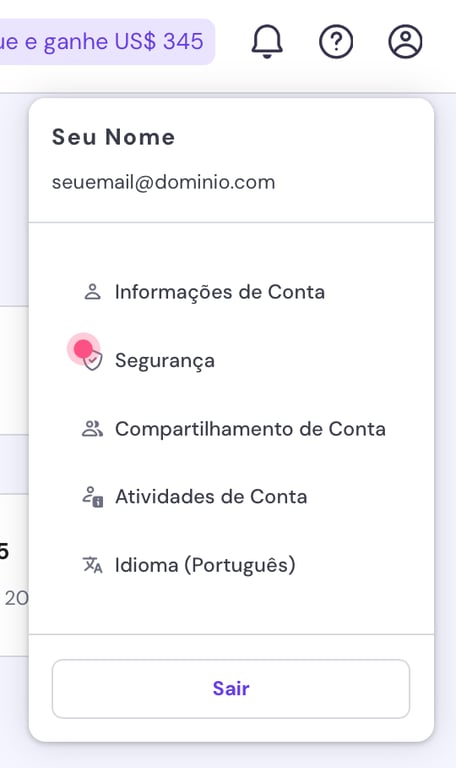 op&ccedil;&otilde;es de conta no hpanel