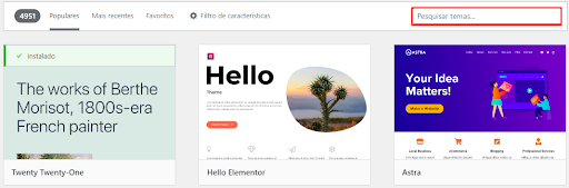 tela de busca de temas do wordpress