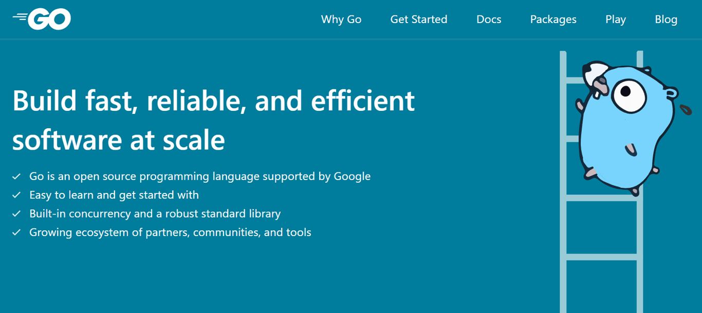 p&aacute;gina da linguagem go