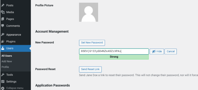 Sessão de atualização da senha no painel WordPress
