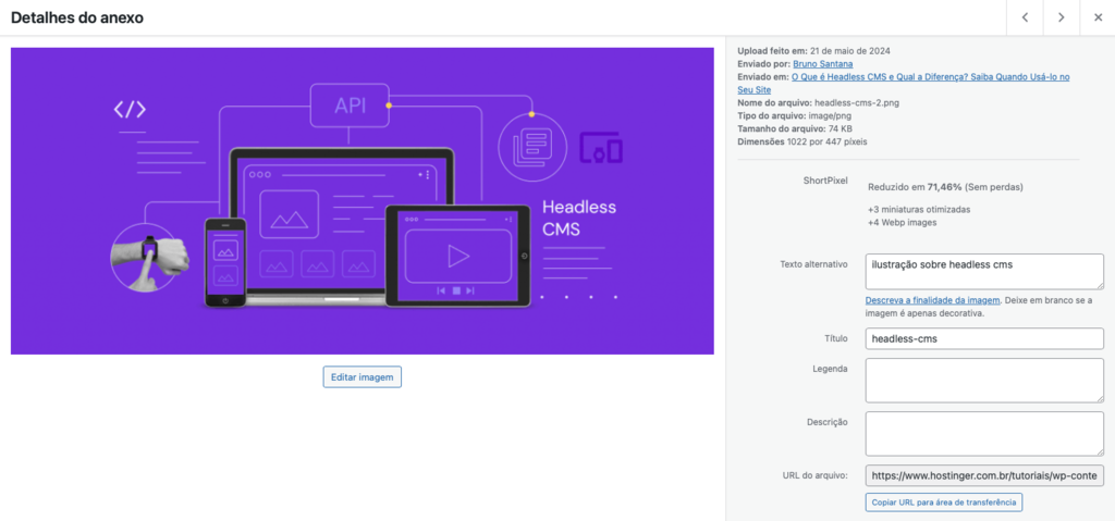 detalhes de imagem no wordpress