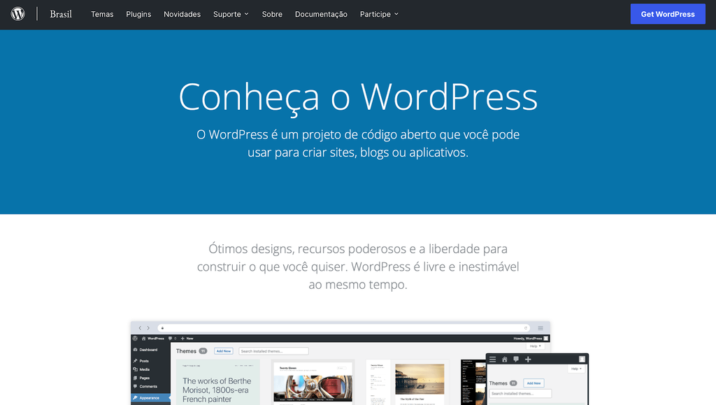 p&aacute;gina inicial do wordpress.org