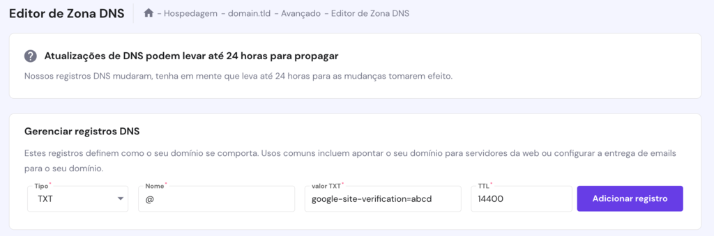 Hostinger DNS Zone Editor. O registro TXT para verifica&ccedil;&atilde;o do Google foi adicionado