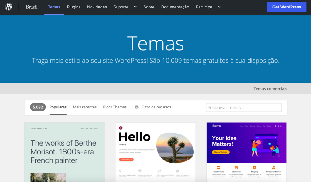 página de temas do wordpress