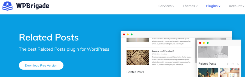 Banner do plugin Related Posts