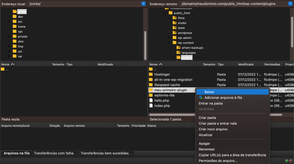 baixando pasta do meu primeiro plugin no FileZilla