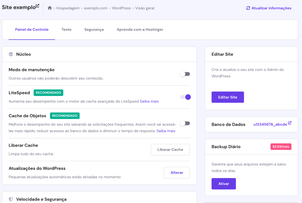 A página de visão geral do WordPress no hPanel