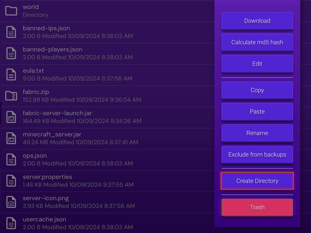criando diretório no game panel da hostinger