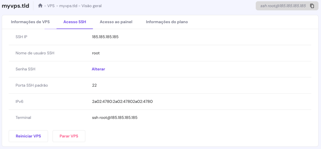 A p&aacute;gina Vis&atilde;o Geral do VPS. A aba de acesso SSH est&aacute; aberta