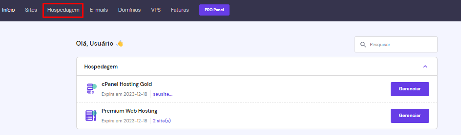 Destaque para a aba de Hospedagem no menu superior da conta da Hostinger