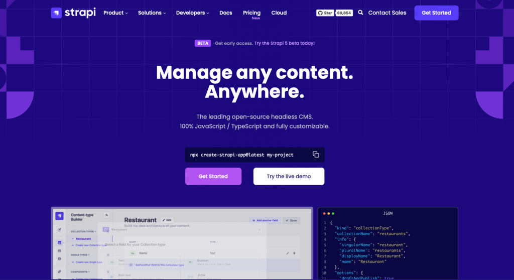 p&aacute;gina inicial da plataforma de headless cms strapi