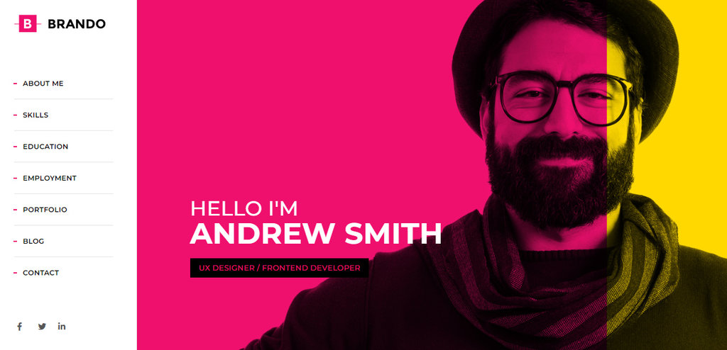 criar portf&oacute;lio no WordPress com o tema premium Brando