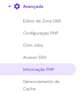 op&ccedil;&atilde;o Informa&ccedil;&atilde;o PHP no hPanel
