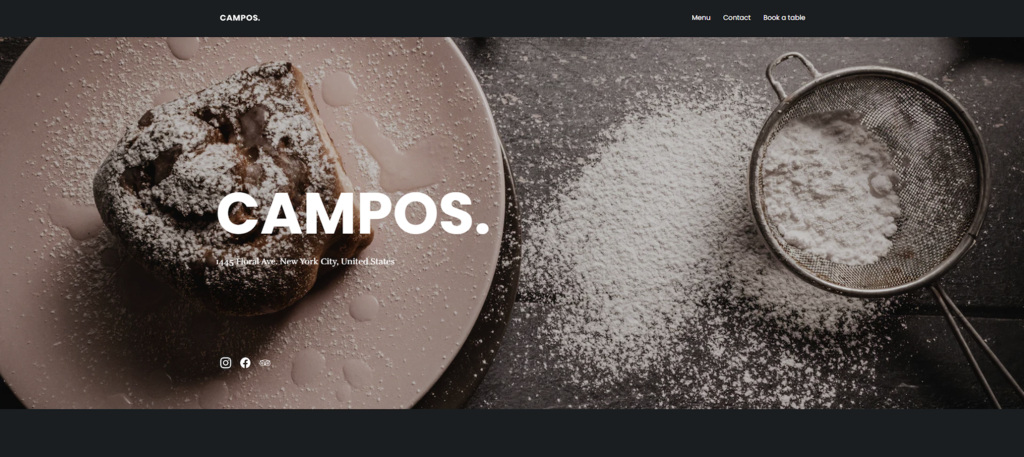template para e-commerce campos