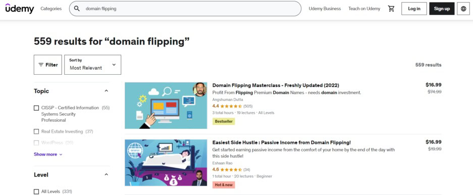 curso de flipping de dom&iacute;nio na udemy