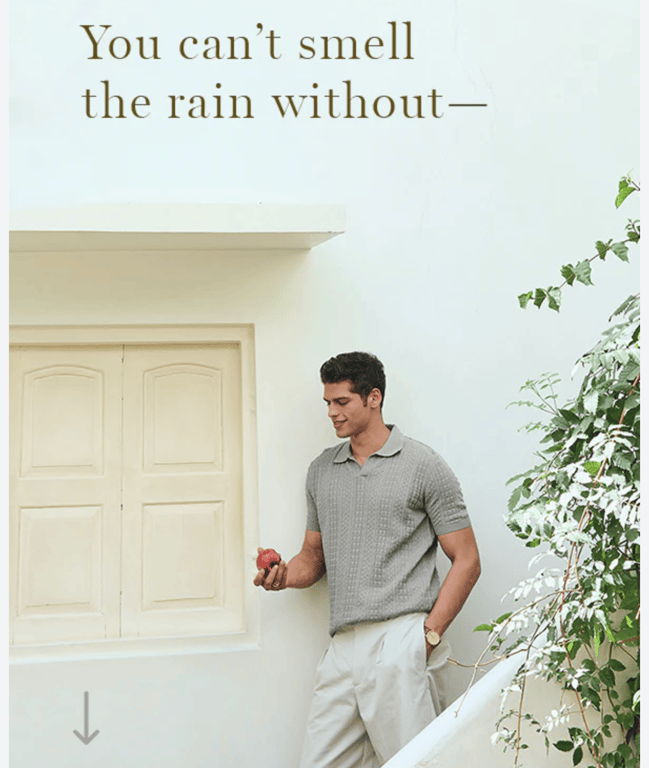 campanha de email marketing da retreat capsule