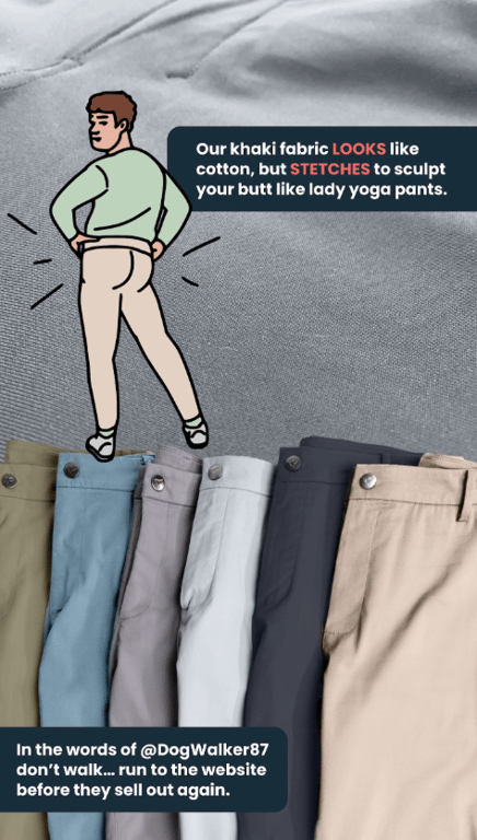 newsletter em formato de história em quadrinhos da birddogs