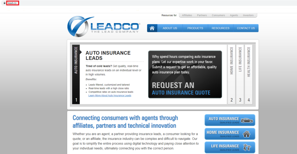 P&aacute;gina inicial do site da Leadco com o nome de dom&iacute;nio destacado