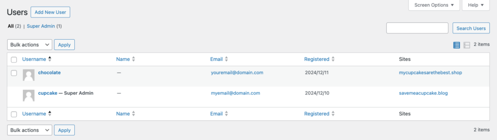 Lista de usu&aacute;rios existentes exibida no painel do WordPress Multisite