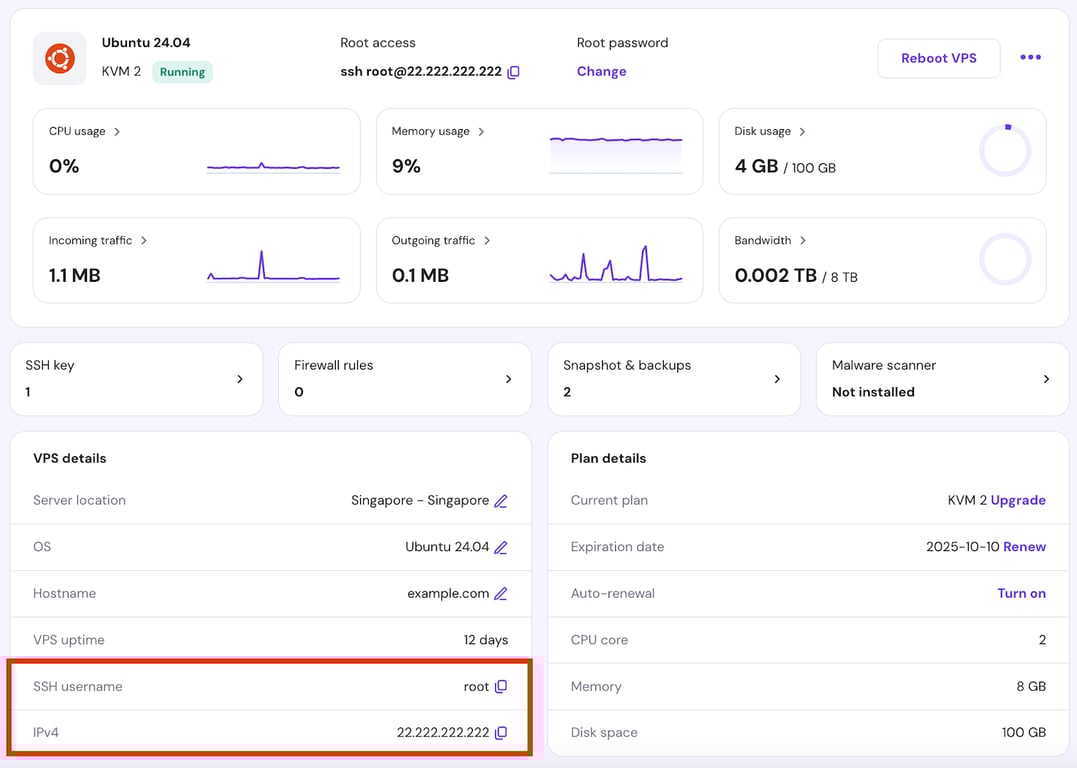 Credenciais de acesso SSH no menu Visão geral do VPS do hPanel