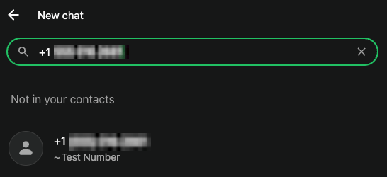 A conta de teste do WhatsApp no resultado da busca