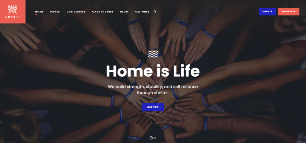 Melhores temas WordPress para ONGs: Tema Chariti