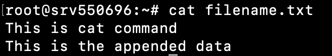 Janela do terminal mostrando o conteúdo do arquivo filename.txt depois que os dados foram acrescentados