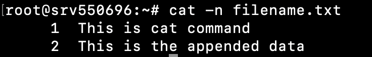 Janela do terminal mostrando a saída do comando cat -n filename.txt com os números das linhas
