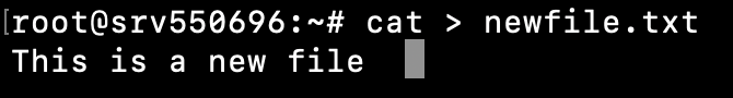 Janela do terminal mostrando a saída do comando cat > newfile.txt