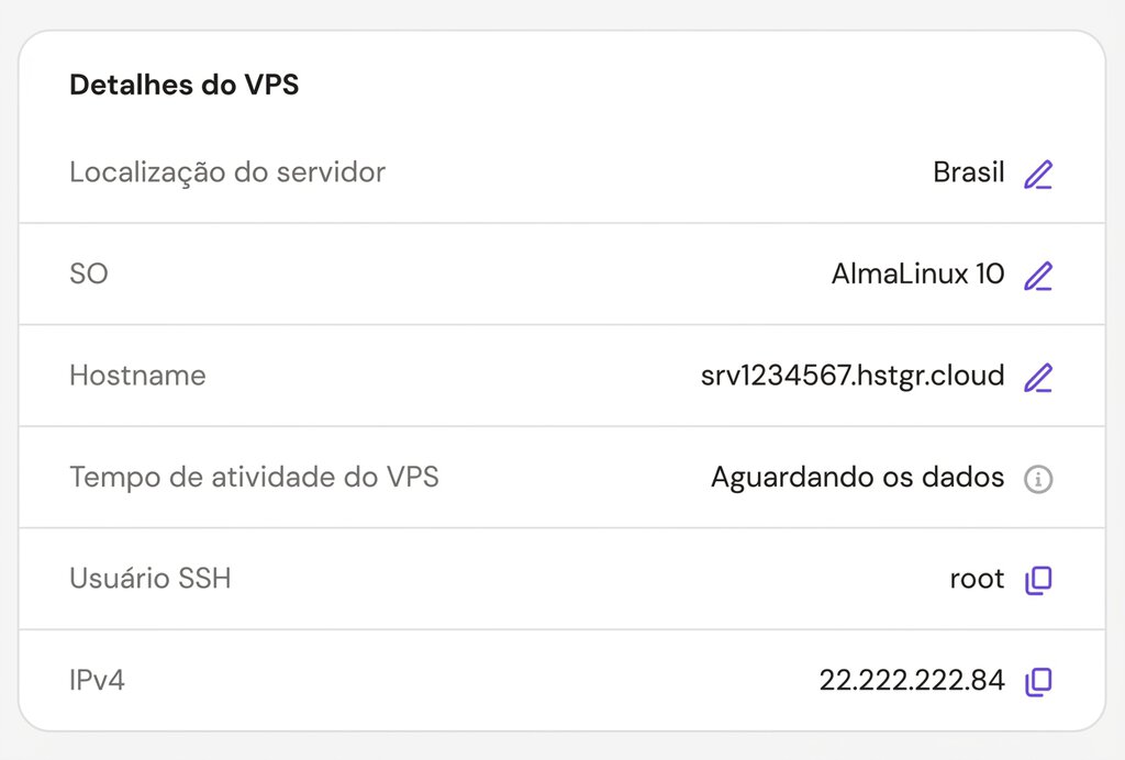 Como configurar um VPS: Acesso ao painel hPanel do VPS Hostinger