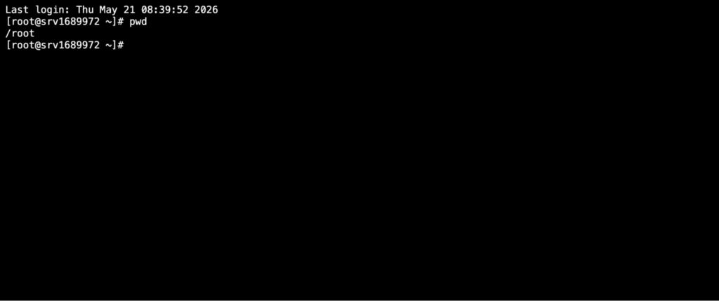 An SSH session in a new browser tab, already logged in as root.