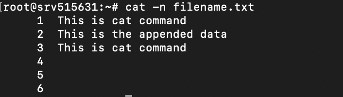 Janela do terminal mostrando a saída do comando cat -n filename.txt com as linhas vazias repetidas