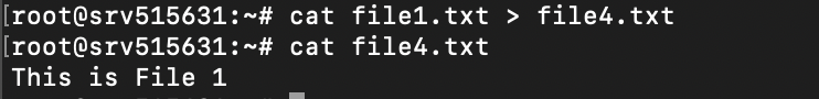 Janela do terminal mostrando a saída do comando cat para redirecionar os dados de file1.txt para file4.txt