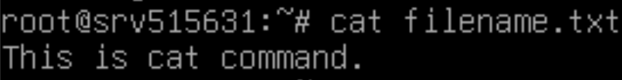 Janela do terminal mostrando a saída do comando cat filename.txt para exibir o conteúdo do arquivo