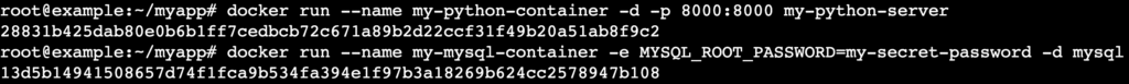 Saída do terminal após executar os comandos docker run