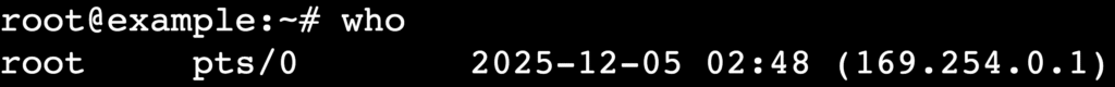Terminal exibindo os detalhes fornecidos pelo comando who sobre os usuários conectados