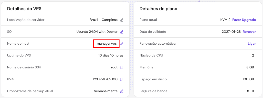 Informações do nome de host na página Visão geral do VPS no hPanel