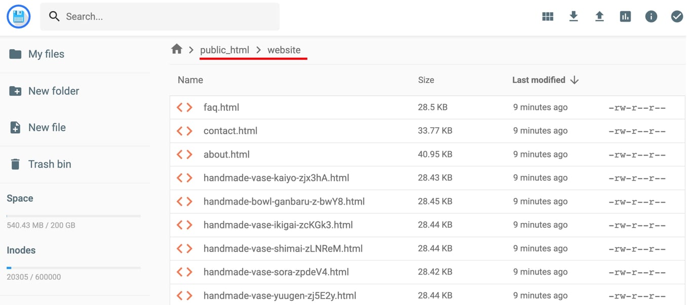 Hostinger File Manager showing the public_html/website folder breadcrumb highlighted