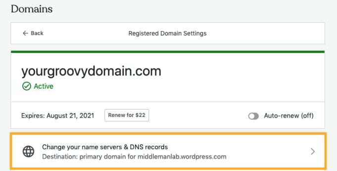 WordPress.com Domains settings with the “Change your name servers & DNS records” option highlighted