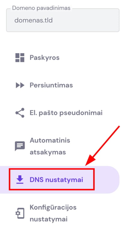 DNS nustatymai pary&scaron;kinti Hostinger paskyros meniu