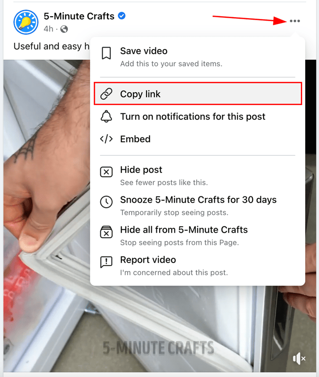 Facebook meniu pary&scaron;kinta &bdquo;Copy link&ldquo; parinktis vaizdo įra&scaron;o įra&scaron;e