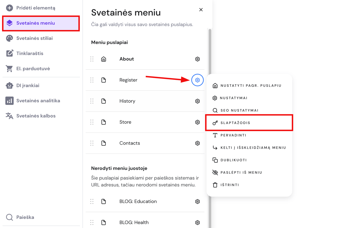 Hostinger svetainės meniu: pažymėta parinktis &bdquo;Slaptažodis&ldquo; meniu &bdquo;Register&ldquo; nustatymuose