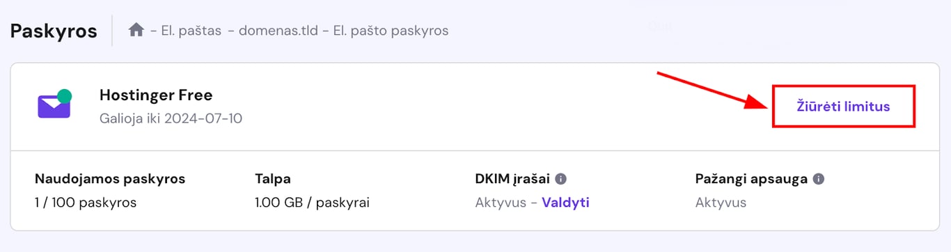 Hostinger Free el. pa&scaron;to kortelė su pary&scaron;kintu mygtuku &bdquo;Žiūrėti limitus&ldquo;