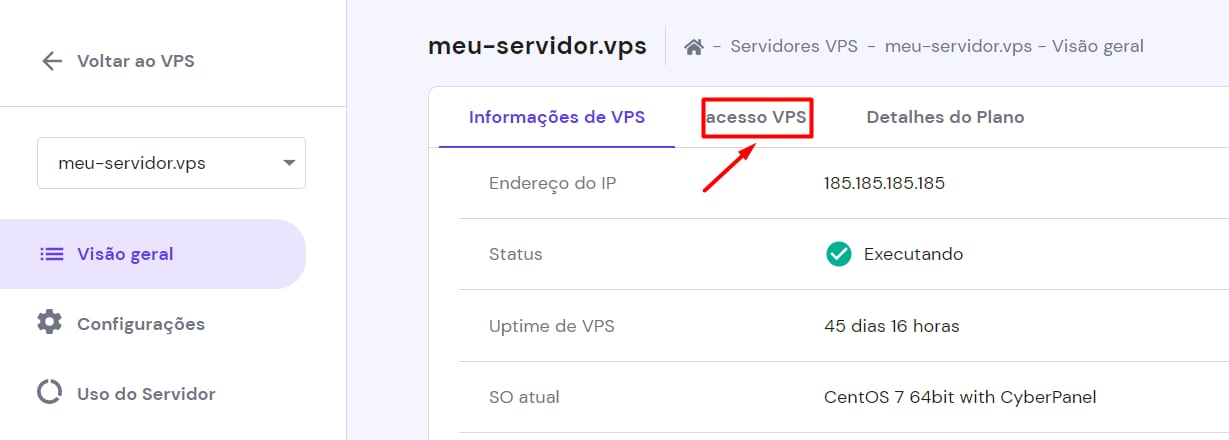 VPS Hostinger: aba acesso VPS destacada no painel do servidor