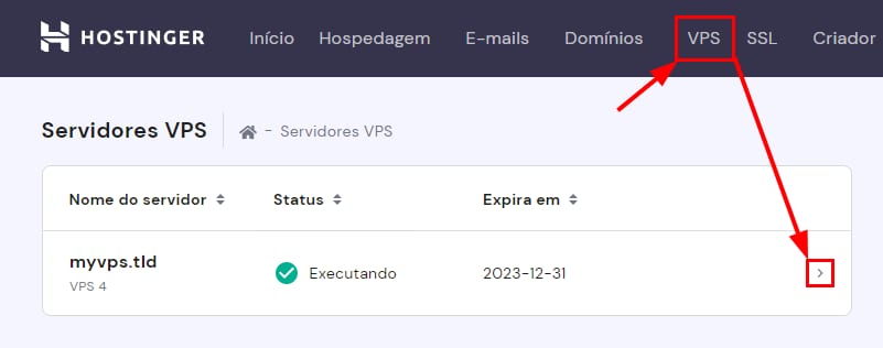 Hostinger VPS com a aba &ldquo;VPS&rdquo; e o bot&atilde;o de acesso do servidor destacados.