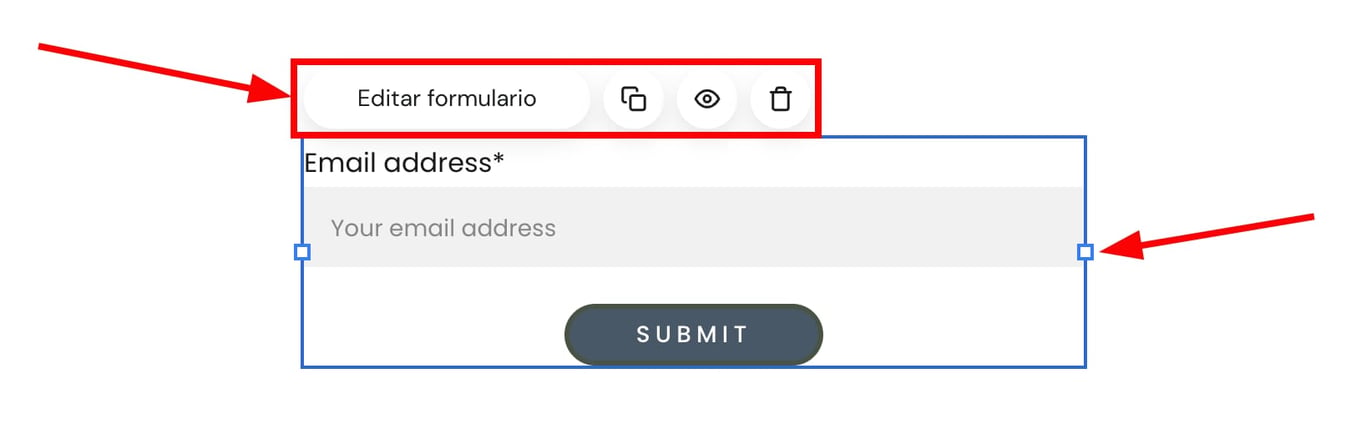 Hostinger Creador de Sitios Web: botón Editar formulario resaltado en el formulario de suscripción