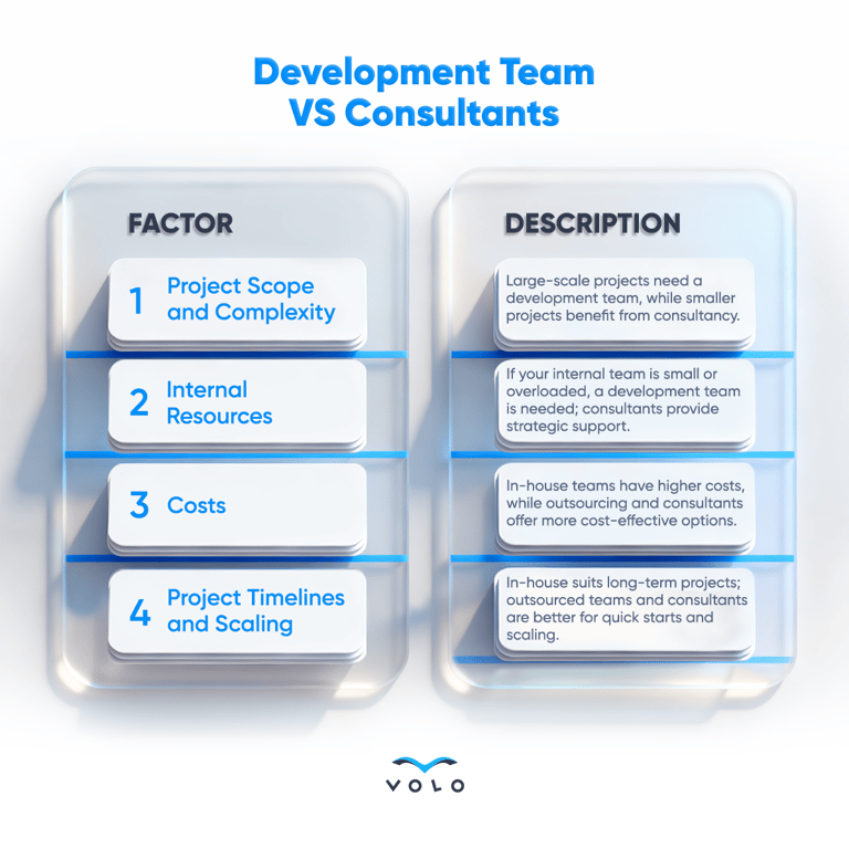 Infographic 52 - Development Team VS Consultants 1 (1).png