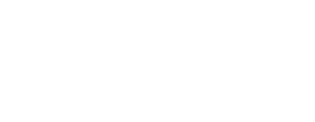 White logo of IT Consulting