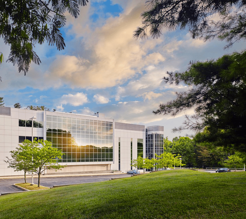 Image Gap Internatioan